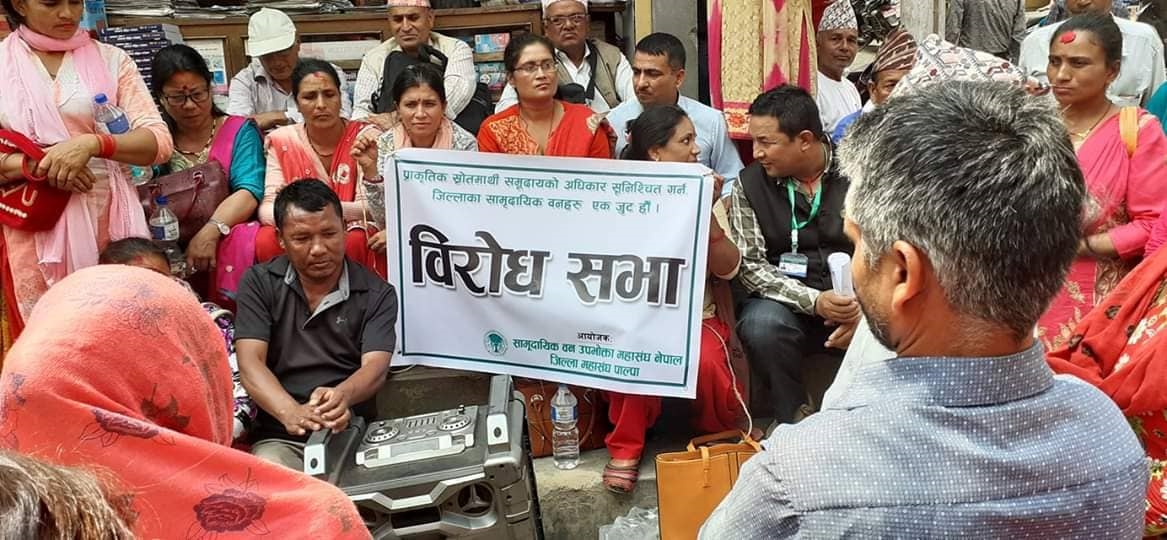 सालका रुख काट्ने २६ दिनमा छुटे
