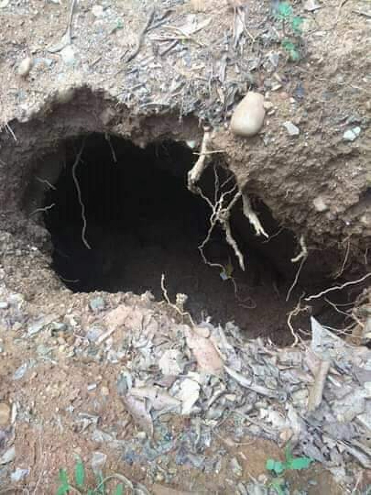 पाल्पाको रानीमहलदेखि नजिकैको भागमा पहिरोले जमिनमुनि  ठुला-ठुला भ्वाङहरु परेपछि स्थानीय त्रसित
