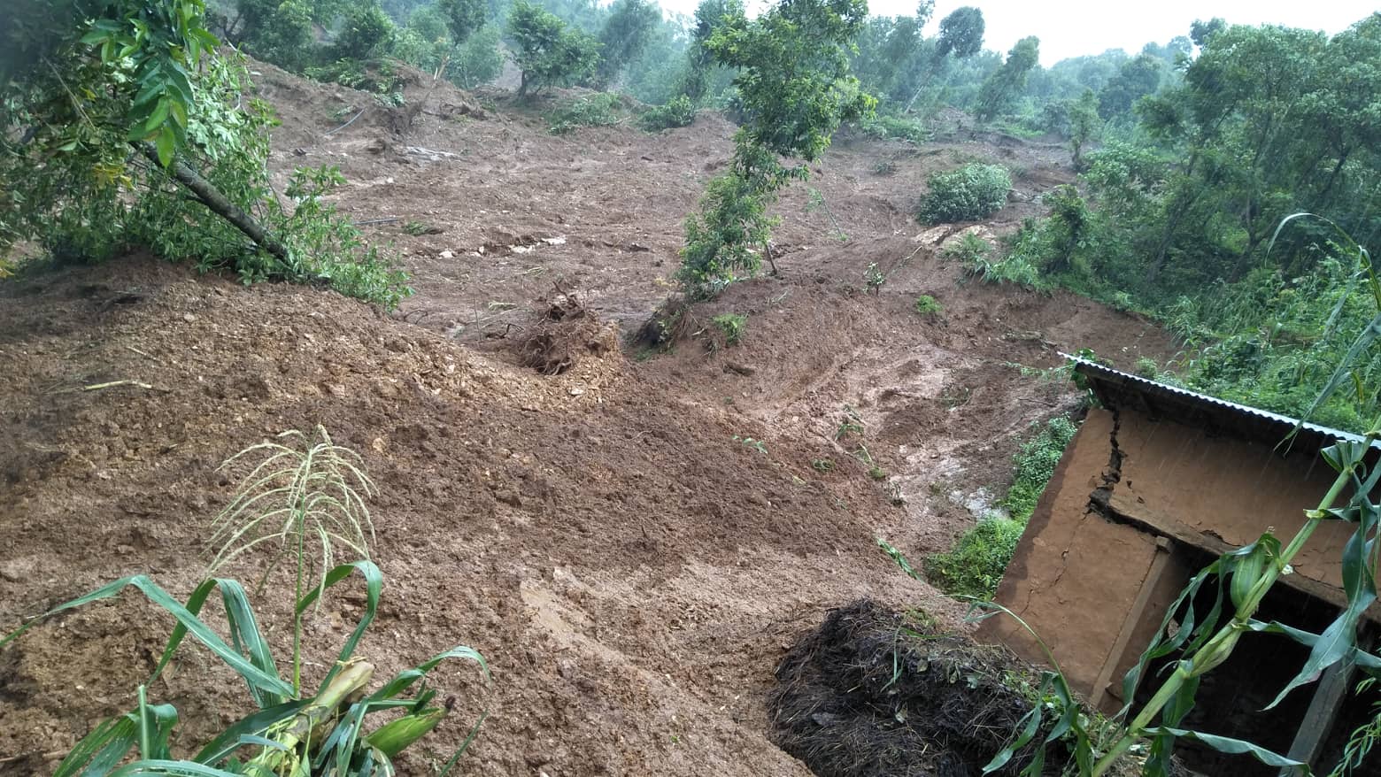 गुल्मीमा पहिरोमा पुरिएर ११ जनाको मृत्यु २ बेपता २ घाइते, सन्दीप बिक जिबितै