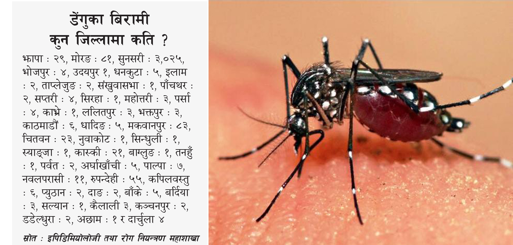 पाल्पामा देखियो डेंगुको रोग