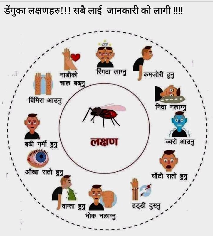 पाल्पामा डेङगु रोगका कारण बिरामी थपिदैँ