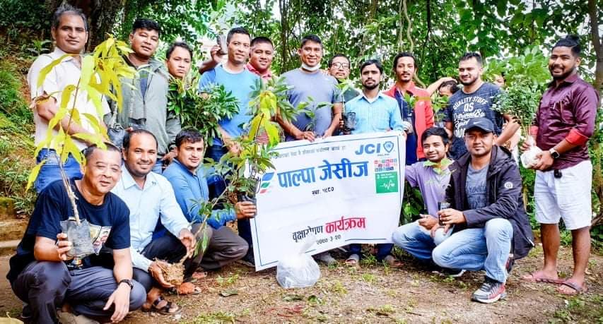 पाल्पा जेसीजद्वारा सिविआर परिषरमा वृक्षारोपण