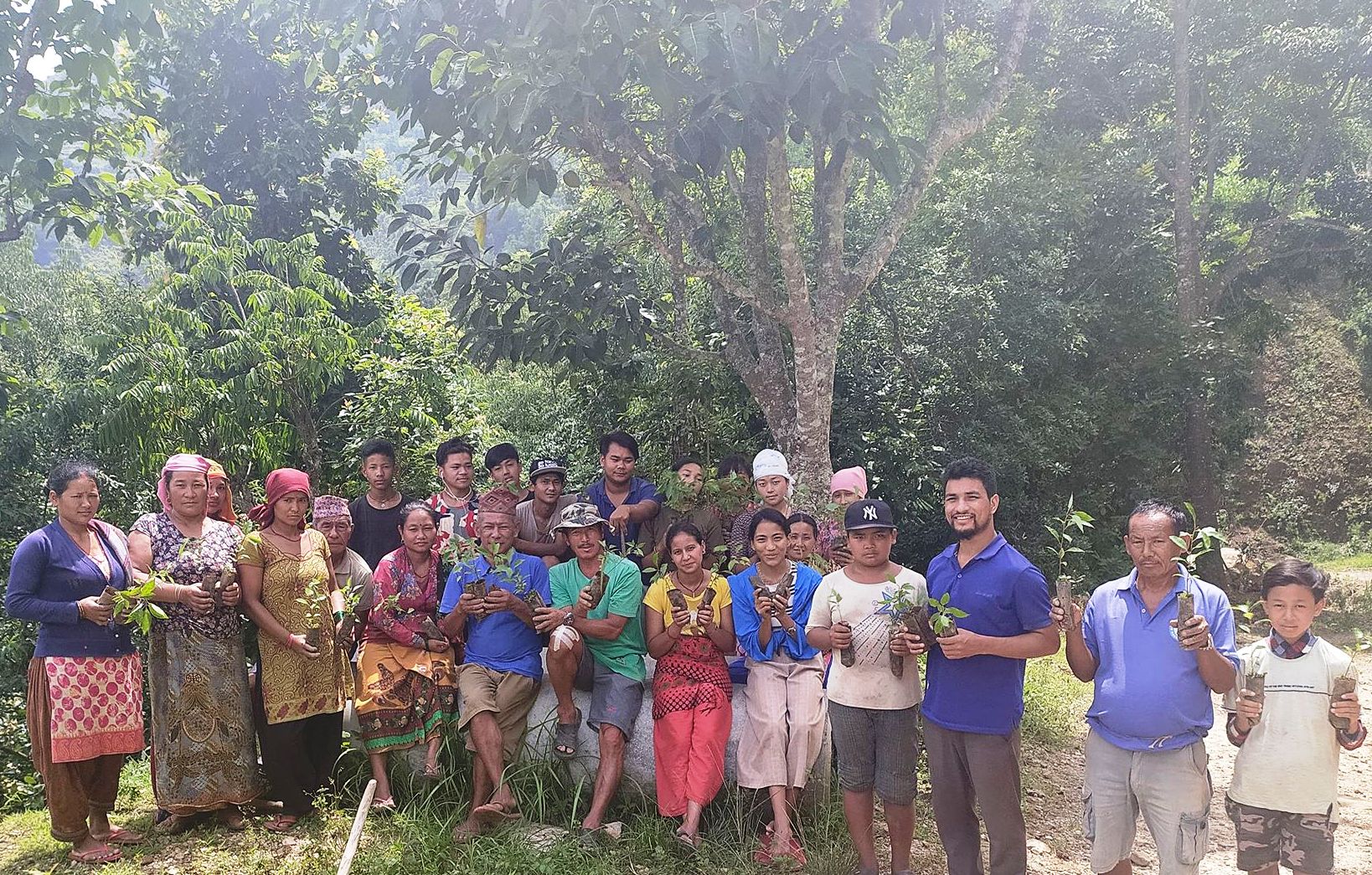 कार्कीको नेतृत्वमा सार्वजनिक स्थानमा वृक्षारोपण