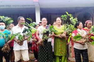 रामपुरमा जुनतारा आमा समूहद्वारा फलफुलका विरुबा वितरण