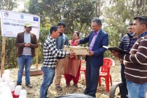 कोभिडले रोजगारी गूमाएका व्यावसायिक उद्यमशिल बन्दैछन्