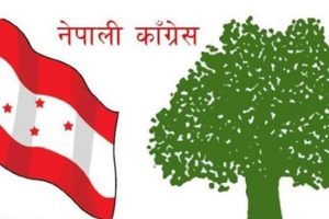 प्रतिनिधिसभा निर्वाचनः काँग्रेसबाट पाल्पा १ मा राना र २ बाट पाँच जना सिफारिस