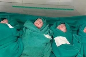 पाल्पाकी सीता सार्कीले जन्माइन एकै पटक चार छोरी