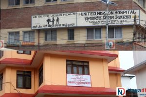 पाल्पामा डेंगुबाट एक जनाकाे मृत्यु, भाद्रमा १२१ नयाँ संक्रमित थपिए