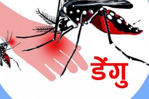 पाल्पामा सात हप्तामा ४७ जनामा डेंगु संक्रमण, परीक्षण किट भने अभाव