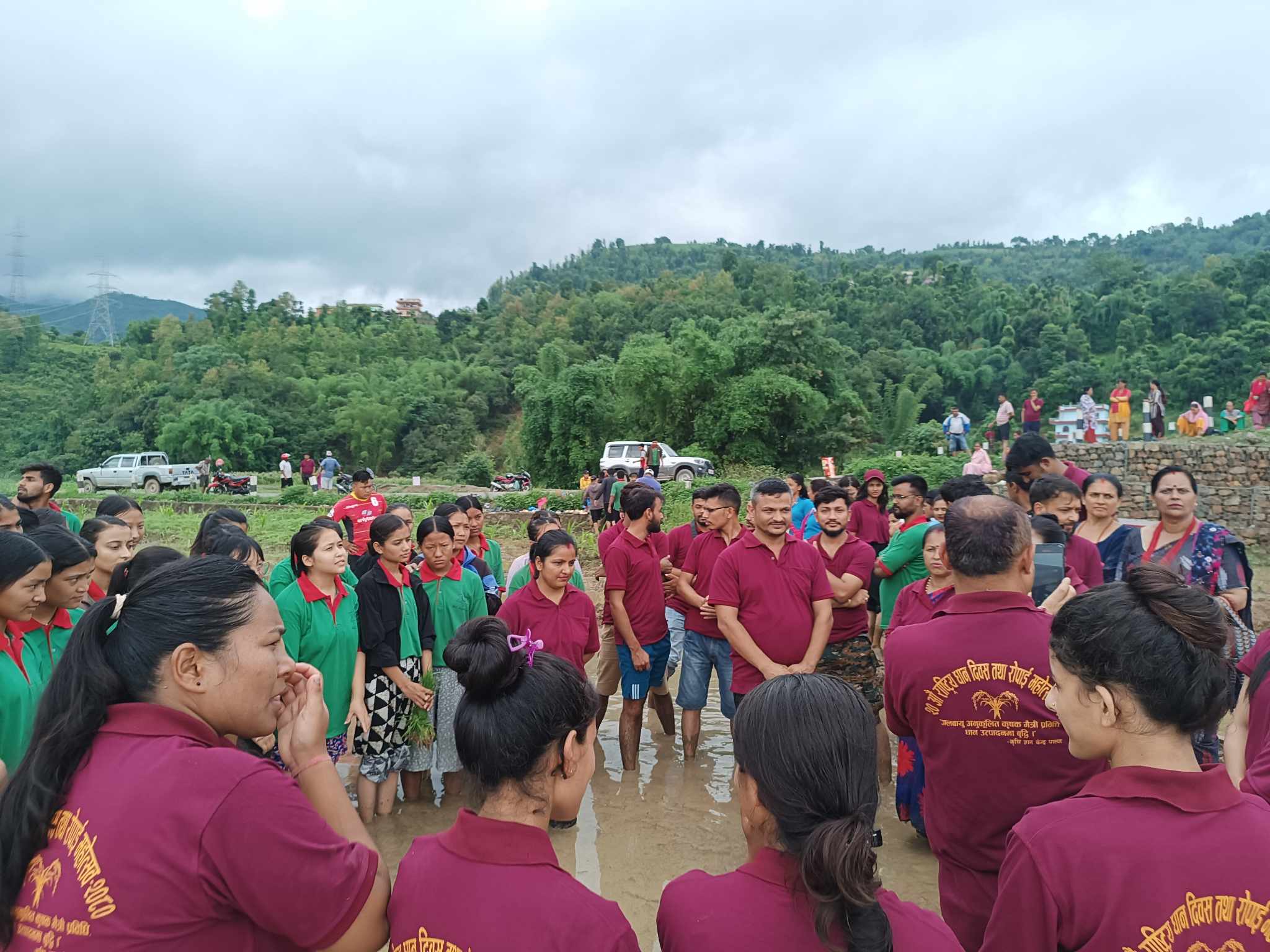 पाल्पाका फाँटहरुमा २० औं धान दिवस मनाइयो [फाेटाेसहित]