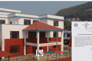 होली मनाउदा यी गल्ती गरे कारबाही हुन सक्छः पाल्पा प्रशासन