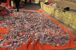 सत्यवती मेलाको भेटी ३२ लाख ८१ हजार ८७०