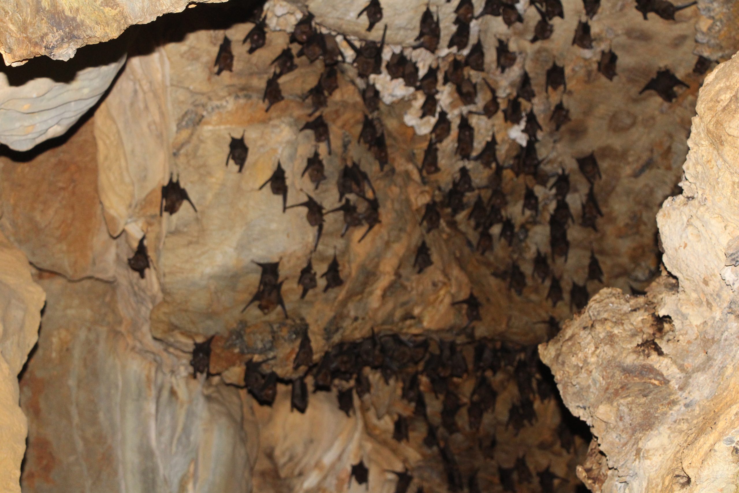 ओझेलमा तीनछांगा र गुरु वशिष्ठ