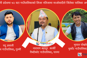 लुम्बिनी प्रदेशका ७३ गाउँपालिकाको लिजा नतिजा: माओवादीकाे नेतृत्व उत्कृष्ट
