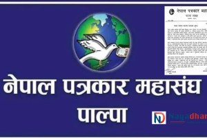 ‘लोकतन्त्रको रक्षा र प्रेस स्वतन्त्रता संरक्षणको पहल गराैंः महासंघ पाल्पा