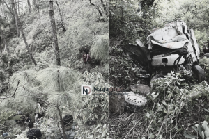 पाल्पामा इभी गाडी दुर्घटनाः तीन जनाको मृत्यु