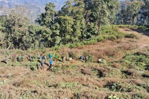 जलेश्वरको महायज्ञ क्षेत्र : सरसफाईमा जुटे स्थानीय बासिन्दा