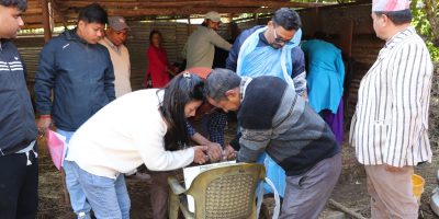 रिब्दीकोटमा नयाँ फड्को : आधुनिक प्रविधिले पशुको बाँझोपन जाँचिदै