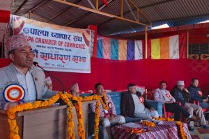 नसर्ने रोगका बिरामी बढ्दा अर्गानिक उत्पादन बढाउनु आवश्यकः स्वास्थ्य मन्त्री सारु