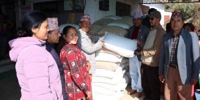 खस्यौलीका किसानले पाए साढे छ क्विनटल मकै दाना