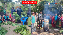 बजारकाे विषादि छाडेर जाैविक विषादि उत्पादनमा ​माथागढीका किसान