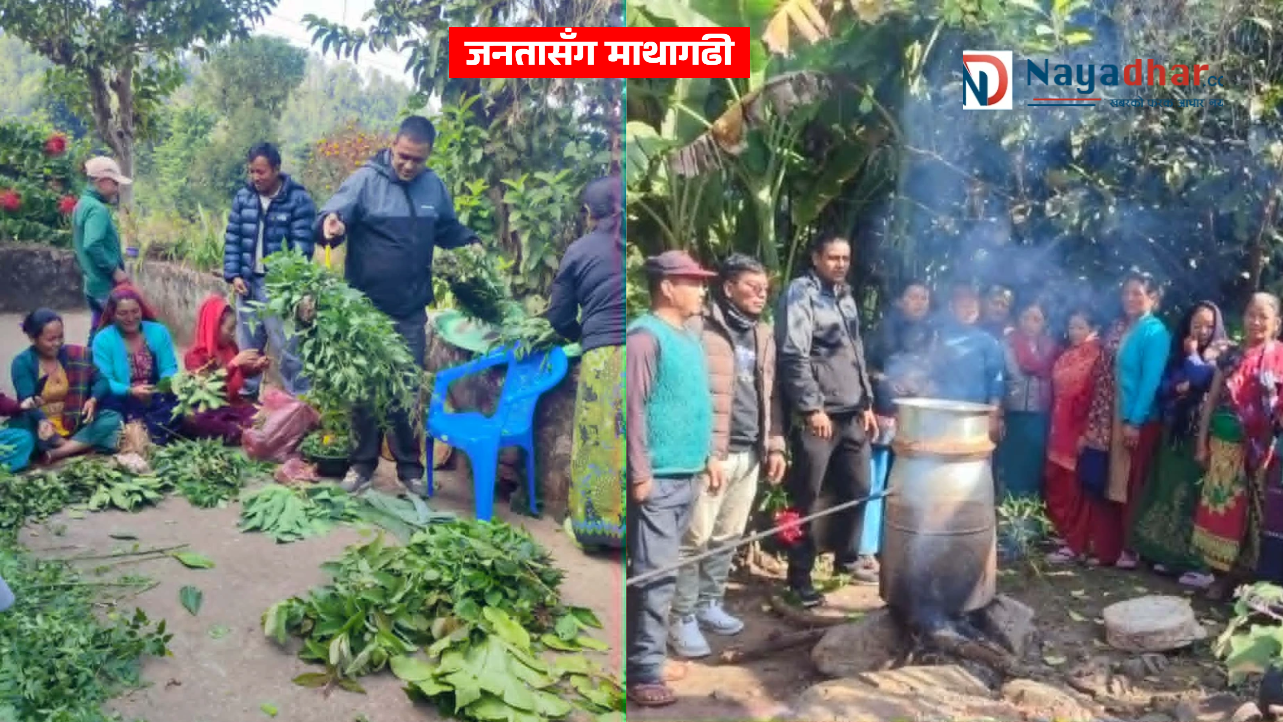 बजारकाे विषादि छाडेर जाैविक विषादि उत्पादनमा ​माथागढीका किसान